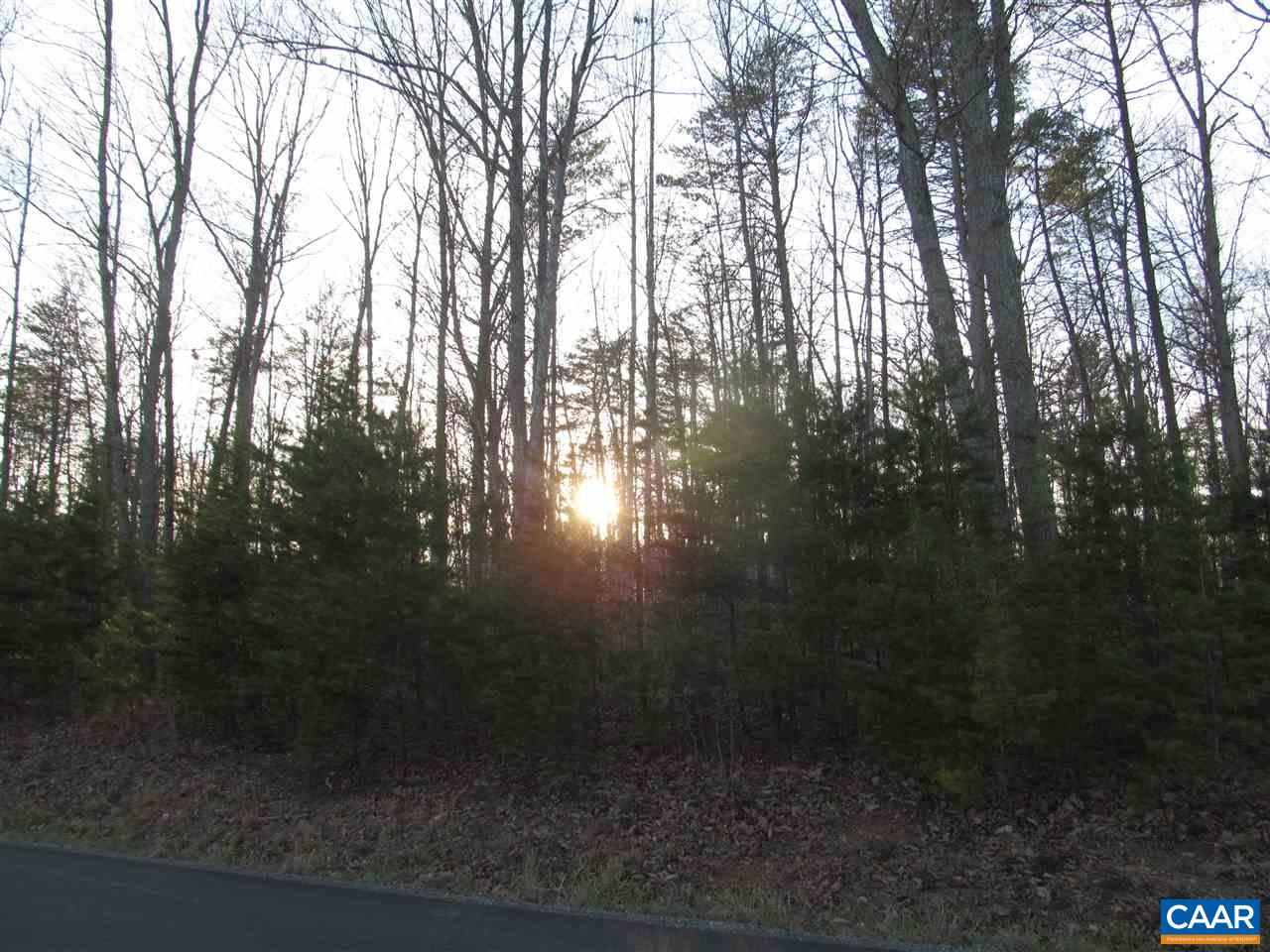 Lot 7 Blenheim Road Charlottesville, VA 22902 - Photo 1 of 6 Gallery Image 1