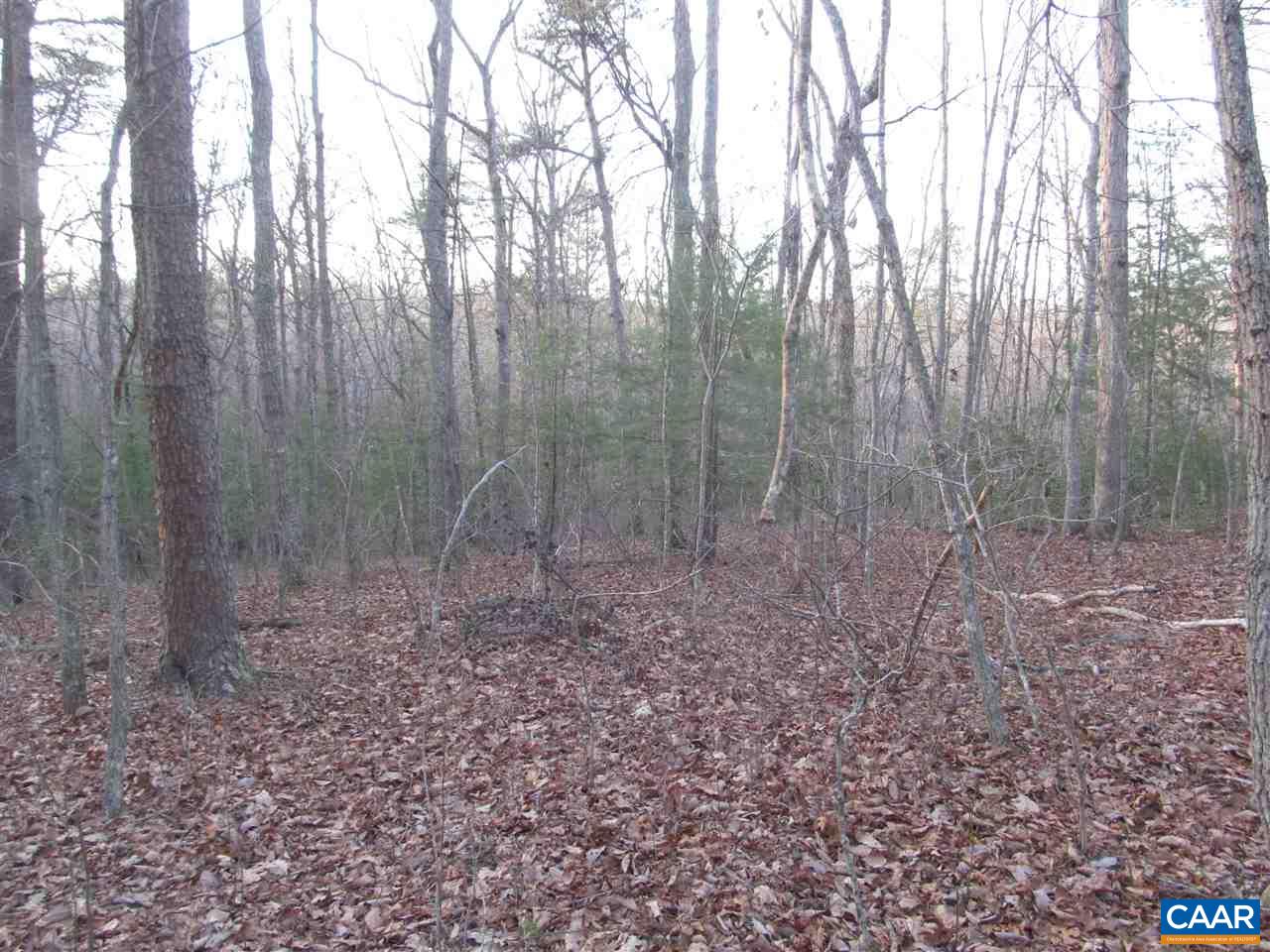Lot 7 Blenheim Road Charlottesville, VA 22902 - Photo 4 of 6 Gallery Image 4