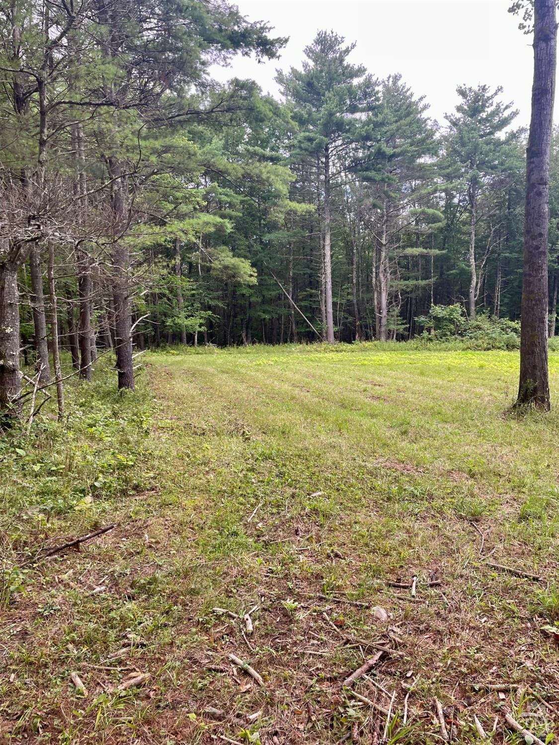 L3 Posson Hill Road Middleburgh, NY 12122 - Photo 1 of 21 Photo 1