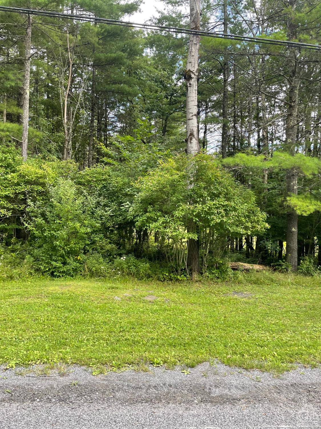 L3 Posson Hill Road Middleburgh, NY 12122 - Photo 11 of 21 Photo 11