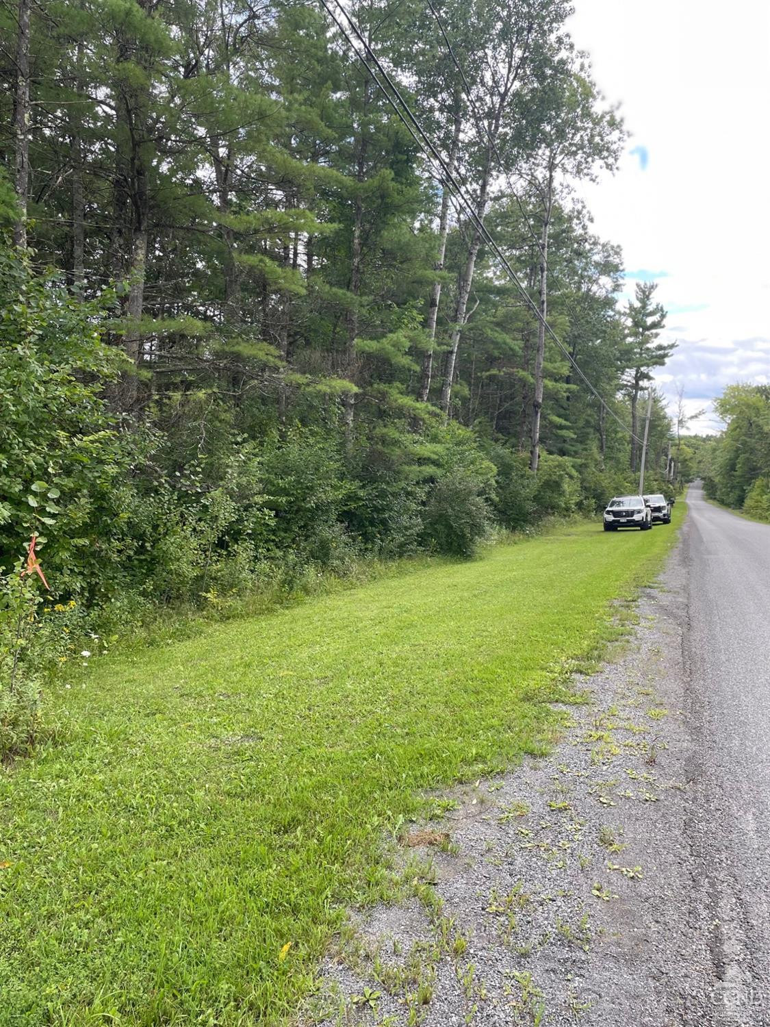L3 Posson Hill Road Middleburgh, NY 12122 - Photo 14 of 21 Photo 14