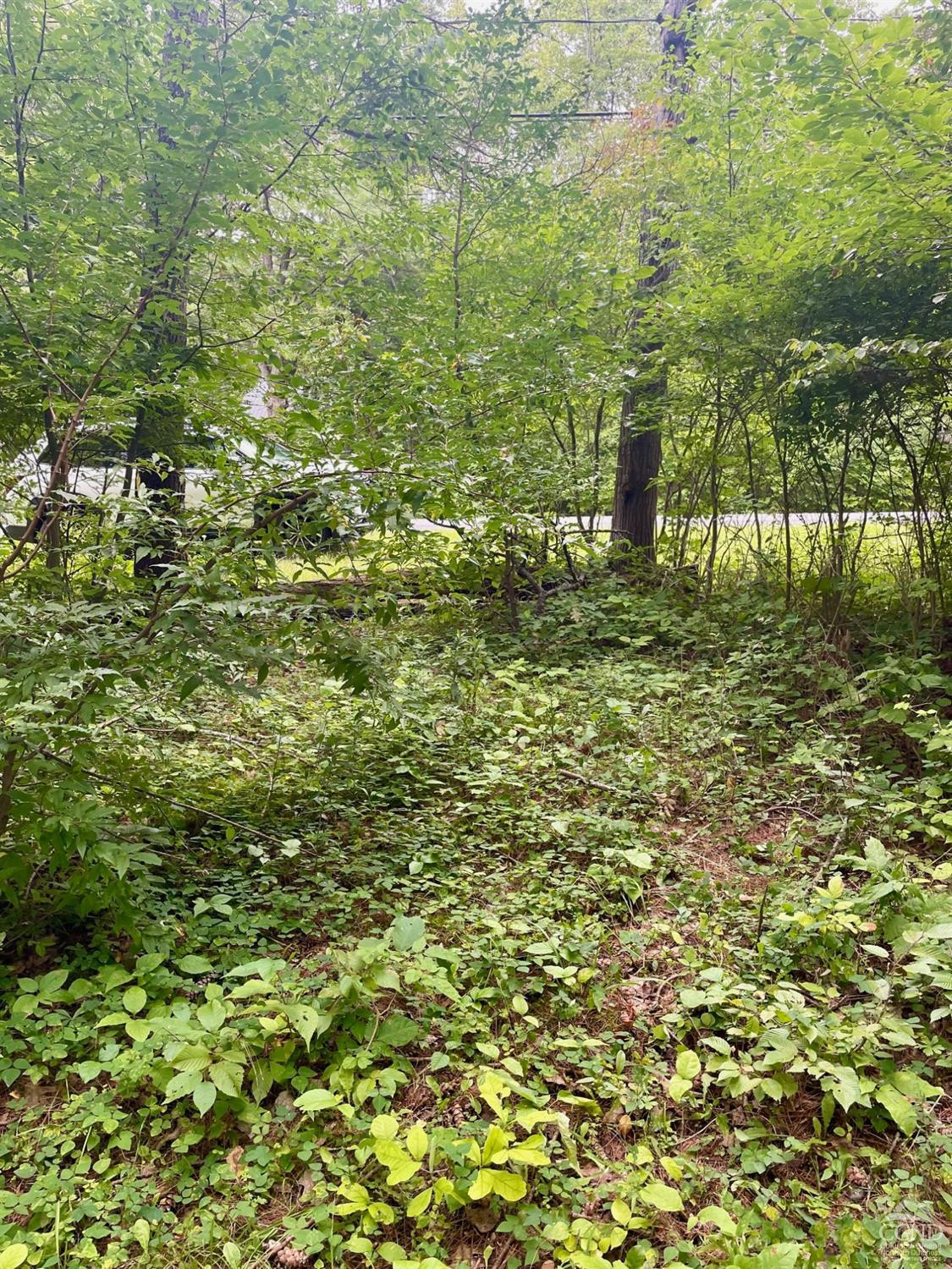 L3 Posson Hill Road Middleburgh, NY 12122 - Photo 16 of 21 Photo 16