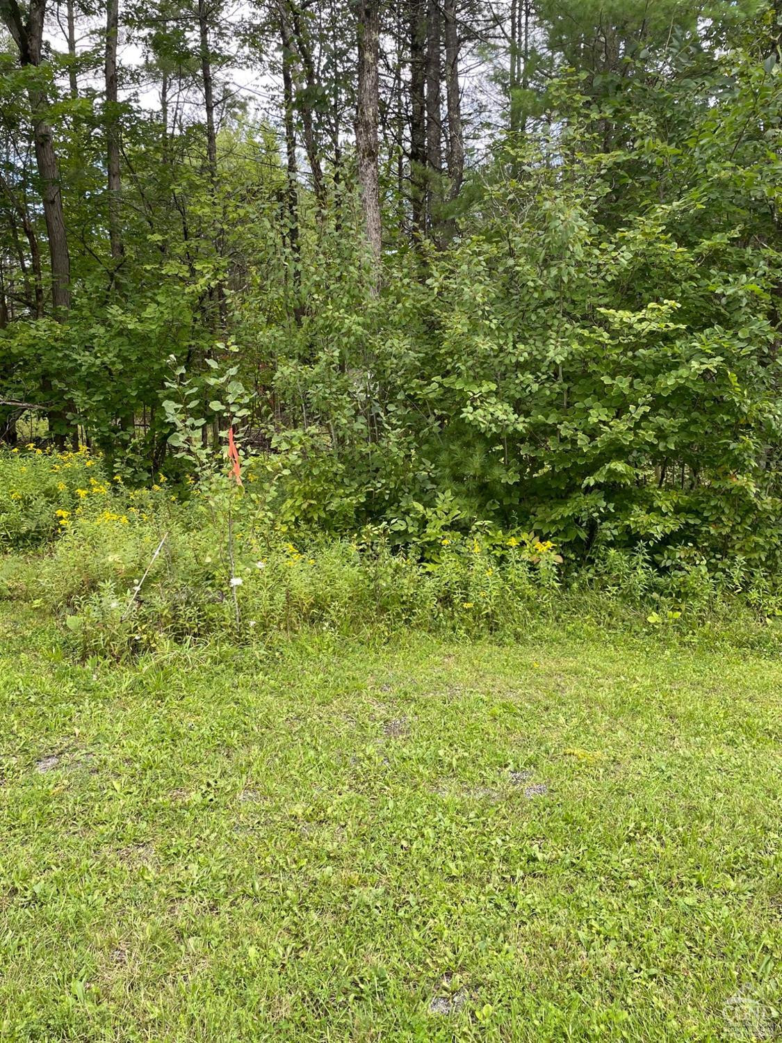 L3 Posson Hill Road Middleburgh, NY 12122 - Photo 17 of 21 Photo 17