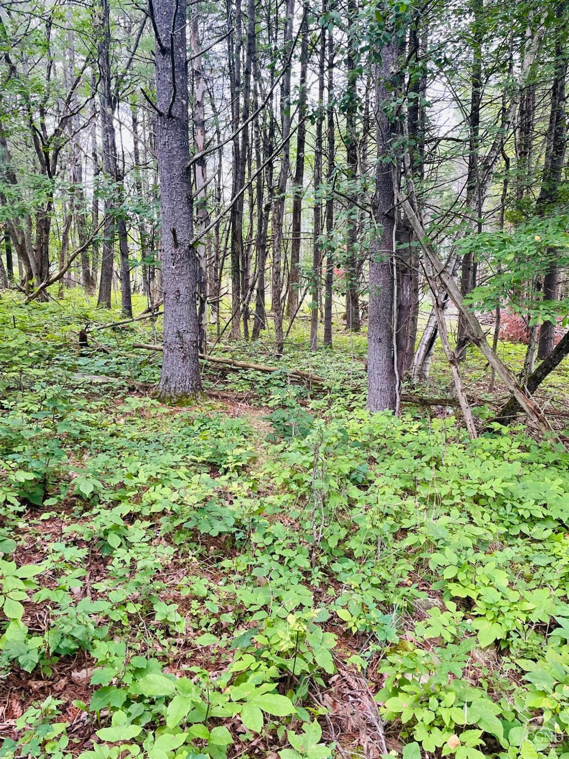 L3 Posson Hill Road Middleburgh, NY 12122 - Photo 18 of 21 Photo 18