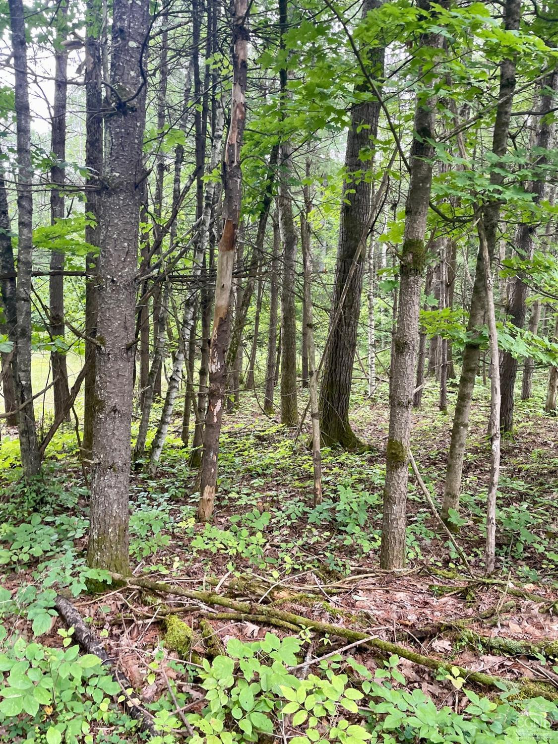 L3 Posson Hill Road Middleburgh, NY 12122 - Photo 20 of 21 Photo 20