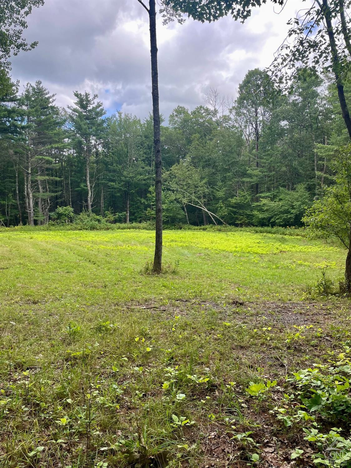 L3 Posson Hill Road Middleburgh, NY 12122 - Photo 2 of 21 Photo 2