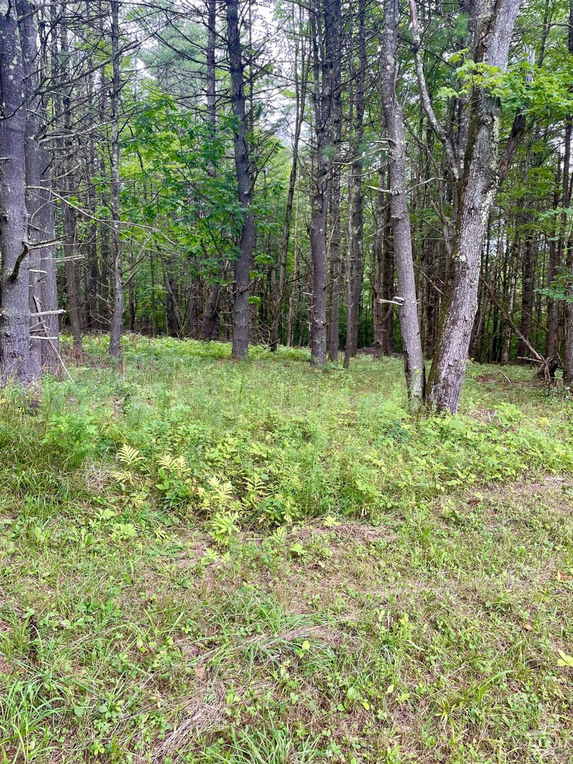 L3 Posson Hill Road Middleburgh, NY 12122 - Photo 21 of 21 Photo 21