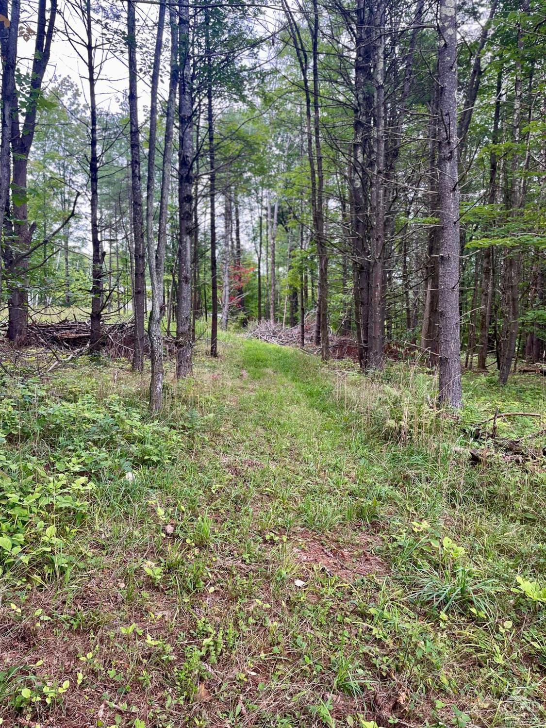 L3 Posson Hill Road Middleburgh, NY 12122 - Photo 6 of 21 Photo 6