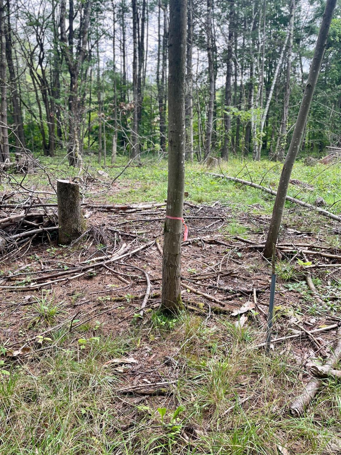 L3 Posson Hill Road Middleburgh, NY 12122 - Photo 7 of 21 Photo 7