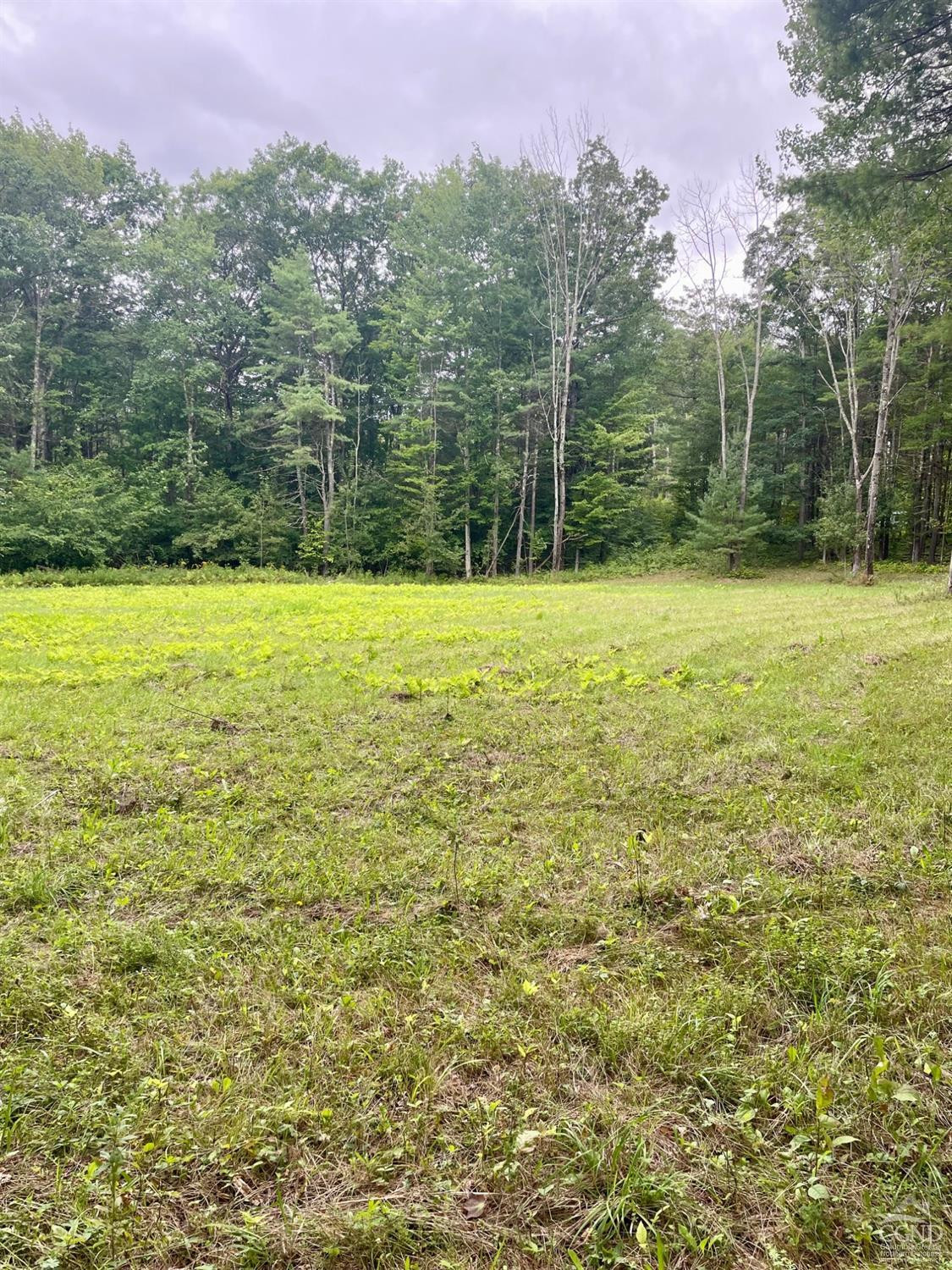 L3 Posson Hill Road Middleburgh, NY 12122 - Photo 8 of 21 Photo 8