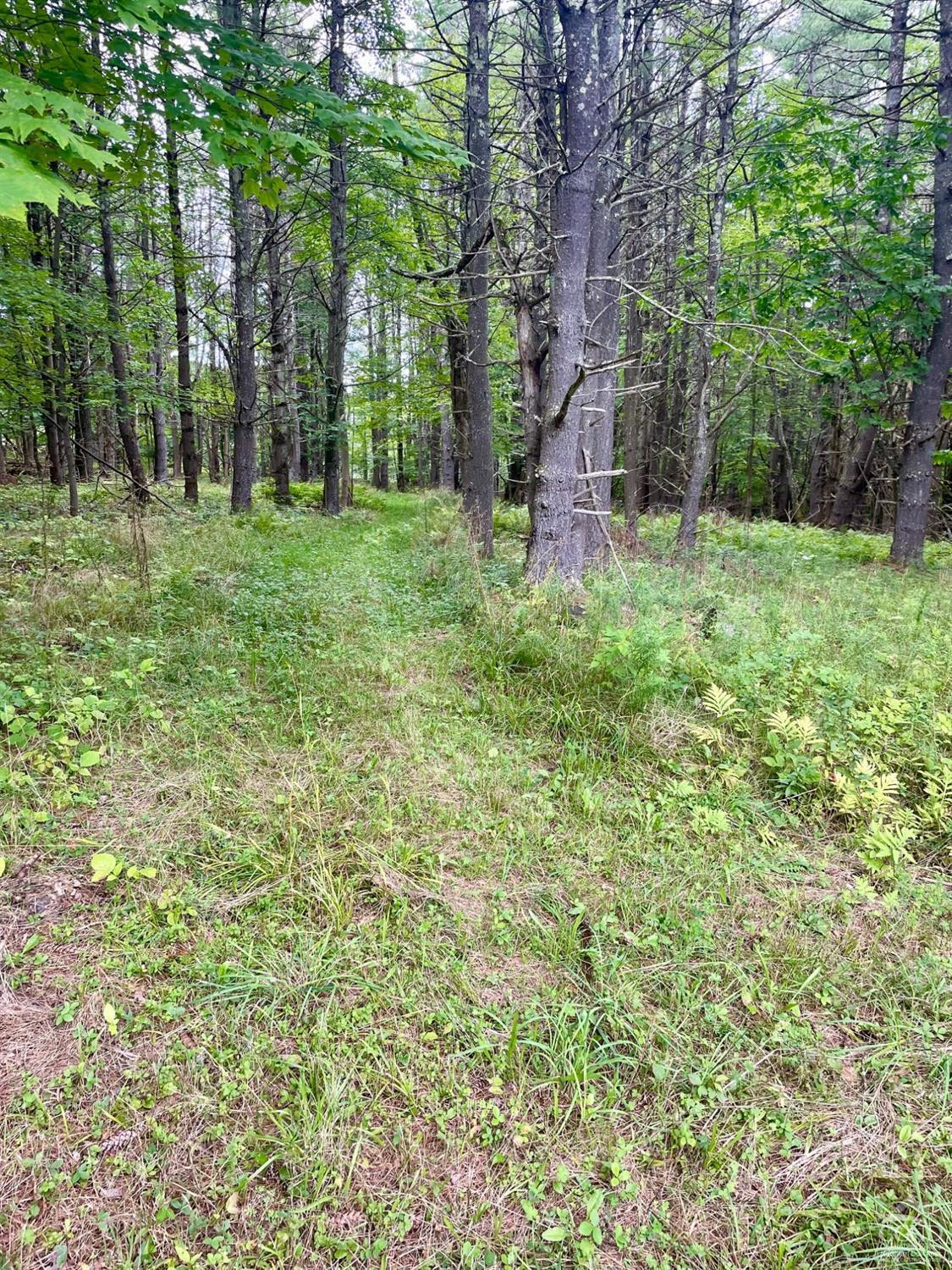 L3 Posson Hill Road Middleburgh, NY 12122 - Photo 9 of 21 Photo 9