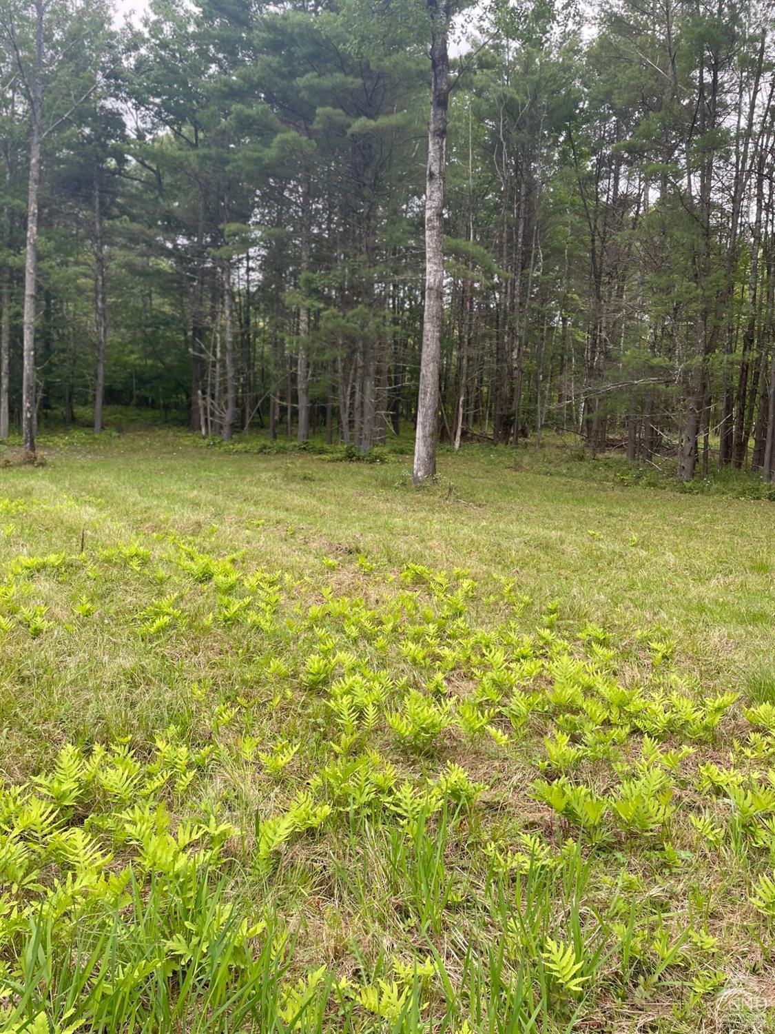 L3 Posson Hill Road Middleburgh, NY 12122 - Photo 10 of 21 Photo 10