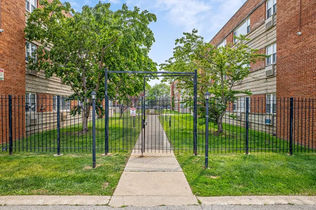 a view of a park with large trees