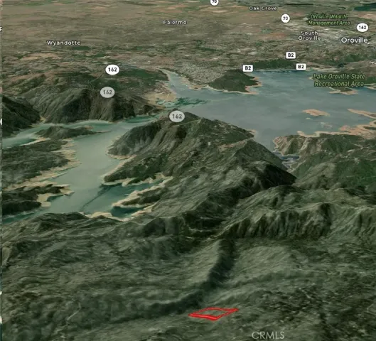 a sign that is sitting in front of a tree