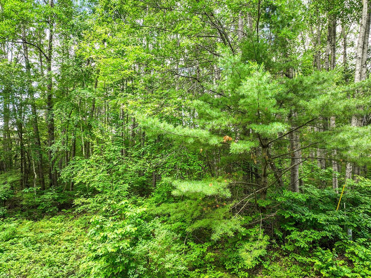 On Cottage Road Tomahawk, WI 54487 - Photo 22 of 23 Gallery Image 22