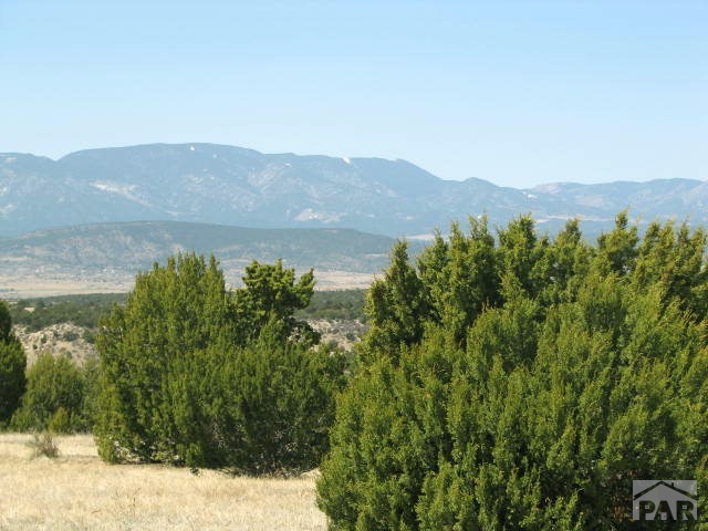 72 Big Sky Drive Rye, CO 81069 - Photo 1 of 1