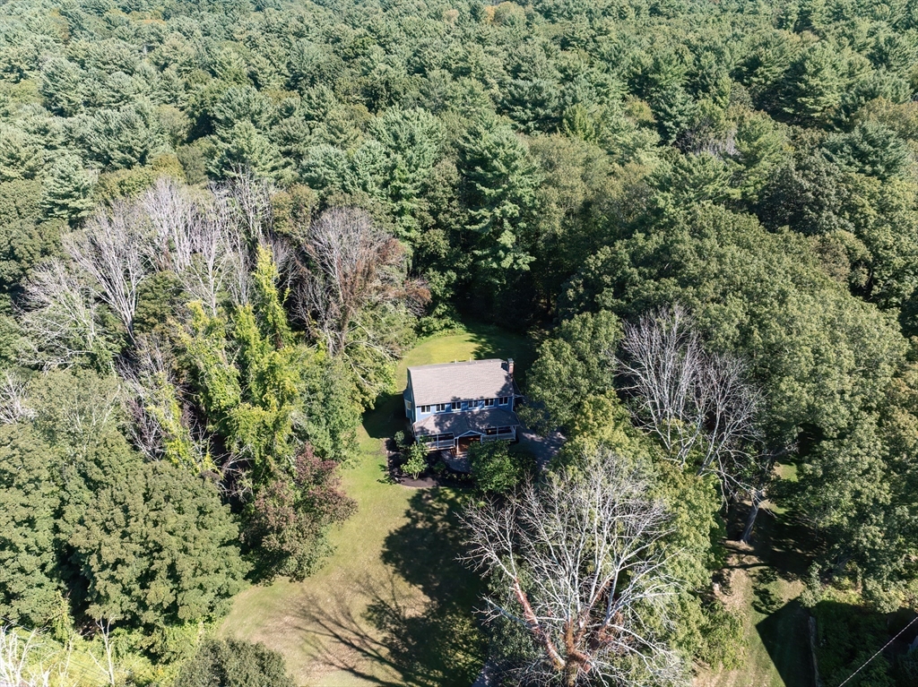 10 Prospect Street Upton, MA 01568 - Photo 35 of 41 a plant that is in middle of garden