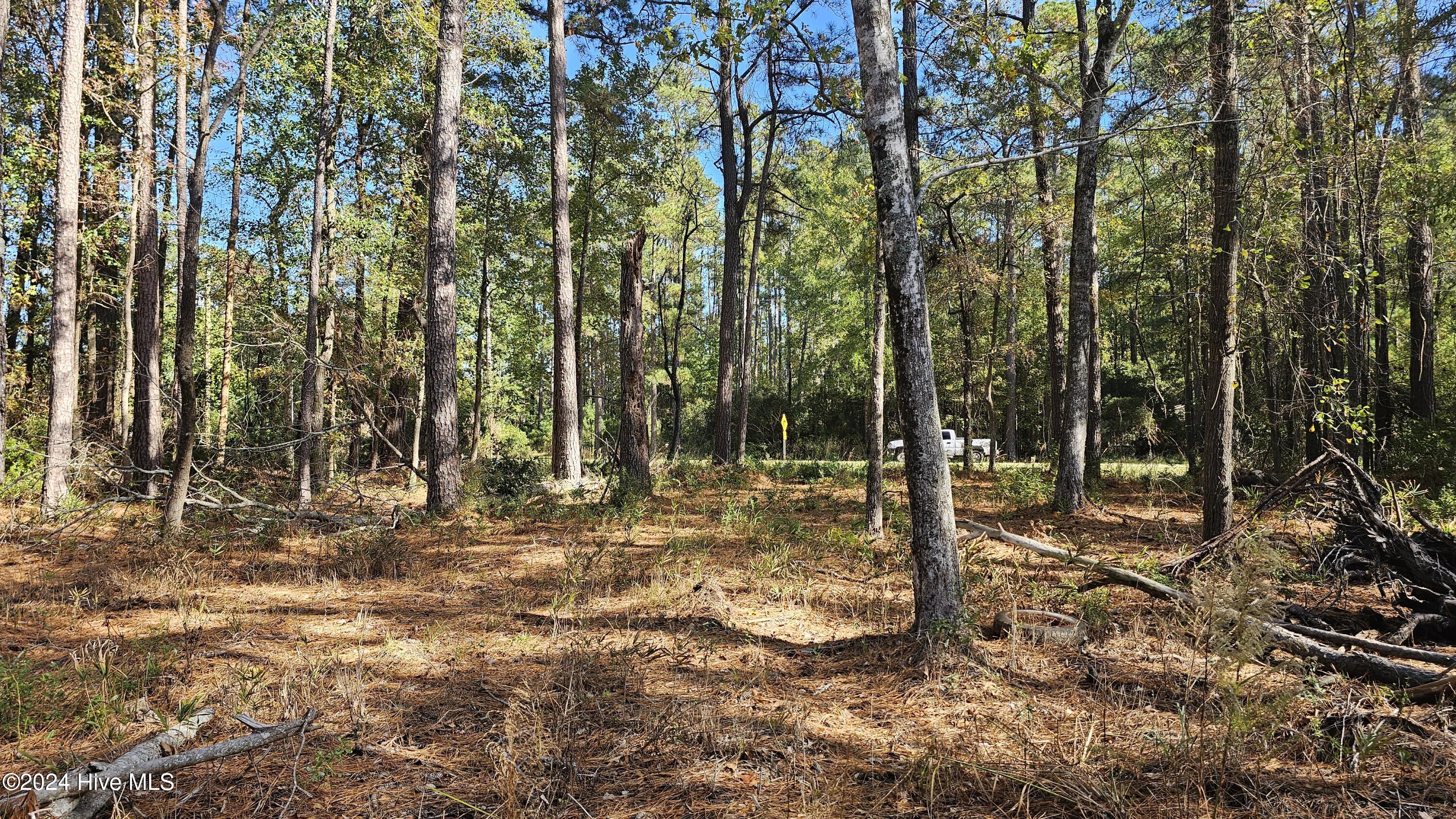 0 Barnes Foster Loop Road Belhaven, NC 27810 - Photo 6 of 7 20241116_121232