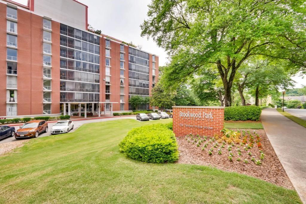 a view of a backyard with a garden and plants