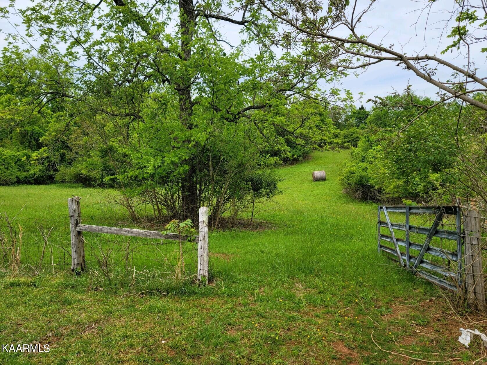 2734 Big Springs Road Friendsville, TN 37737 - Photo 7 of 9 Gallery Image 7