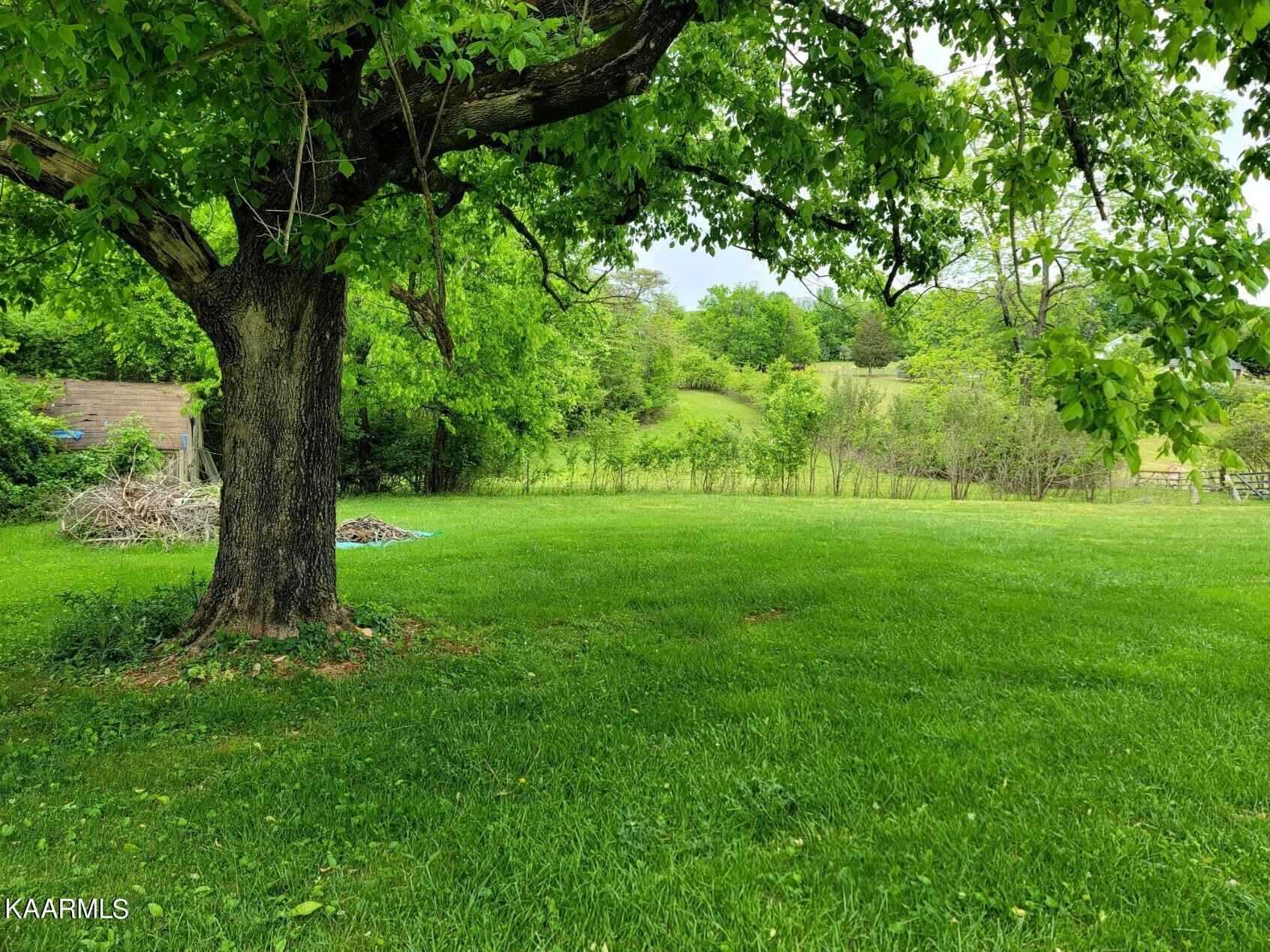 2734 Big Springs Road Friendsville, TN 37737 - Photo 9 of 9 Gallery Image 9