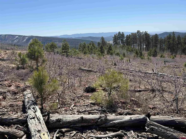 a view of a city with lush green forest