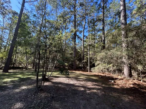 $89,999 | 201 Creek Drive, Onalaska, TX 77360