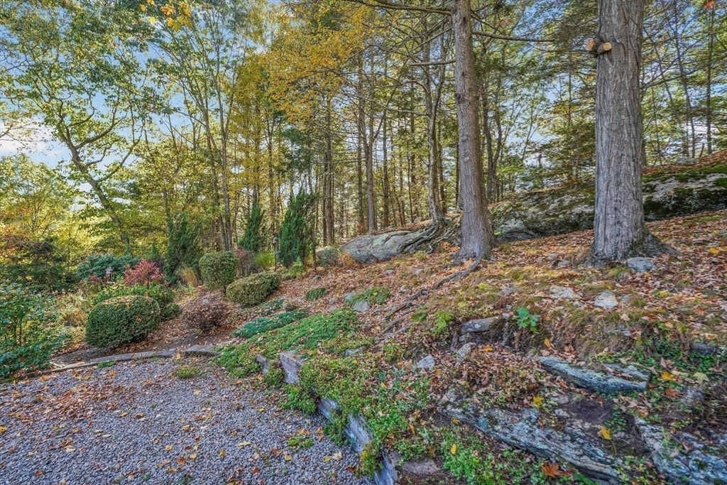40 Breakneck Road Sturbridge, MA 01566 - Photo 32 of 39 a view of a forest with trees