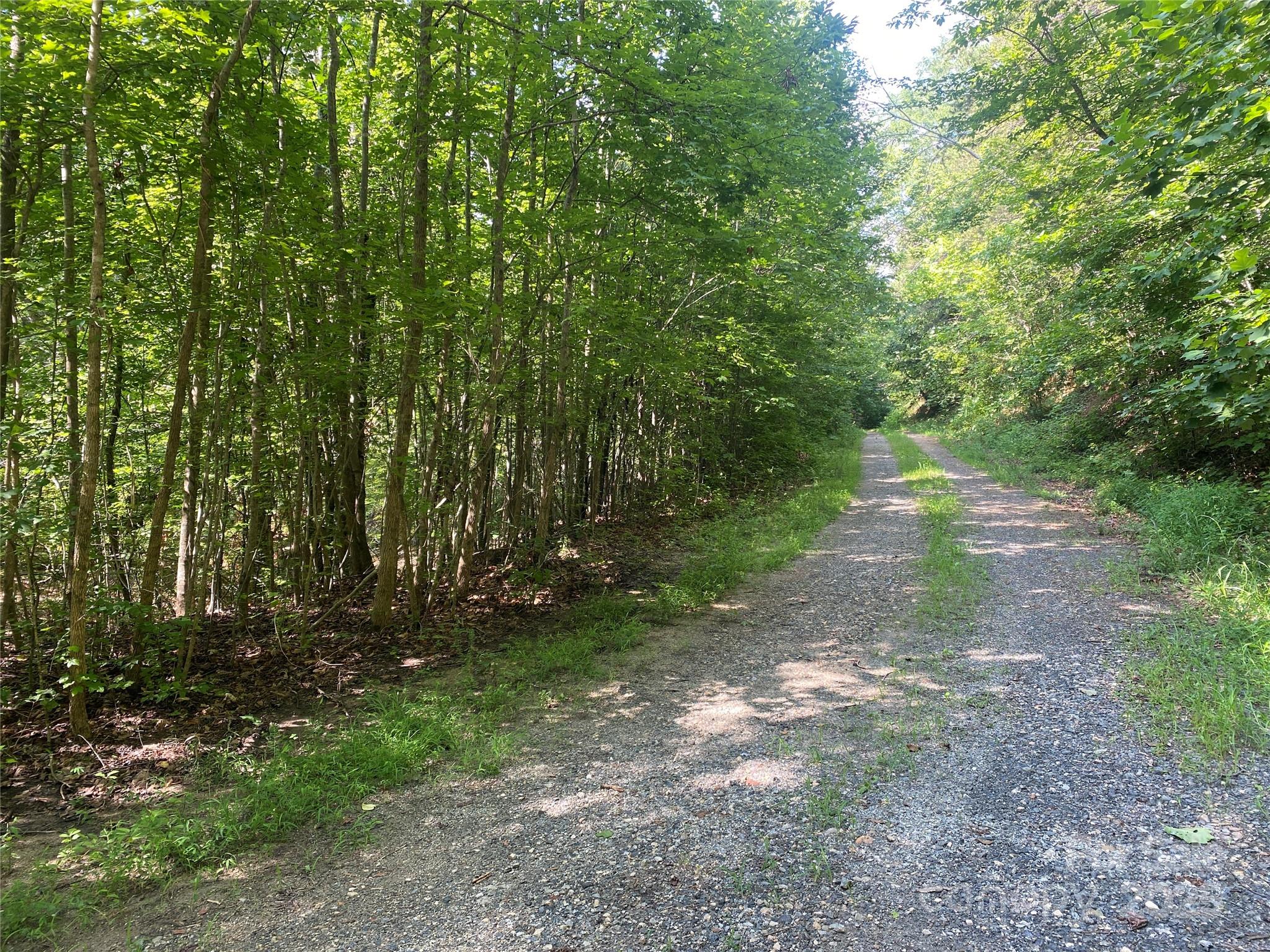 0 Camp McCall Road Bostic, NC 28018 - Photo 12 of 31 a view of a yard with large trees