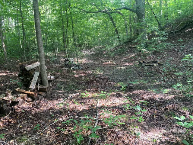 a view of a lake with a tree