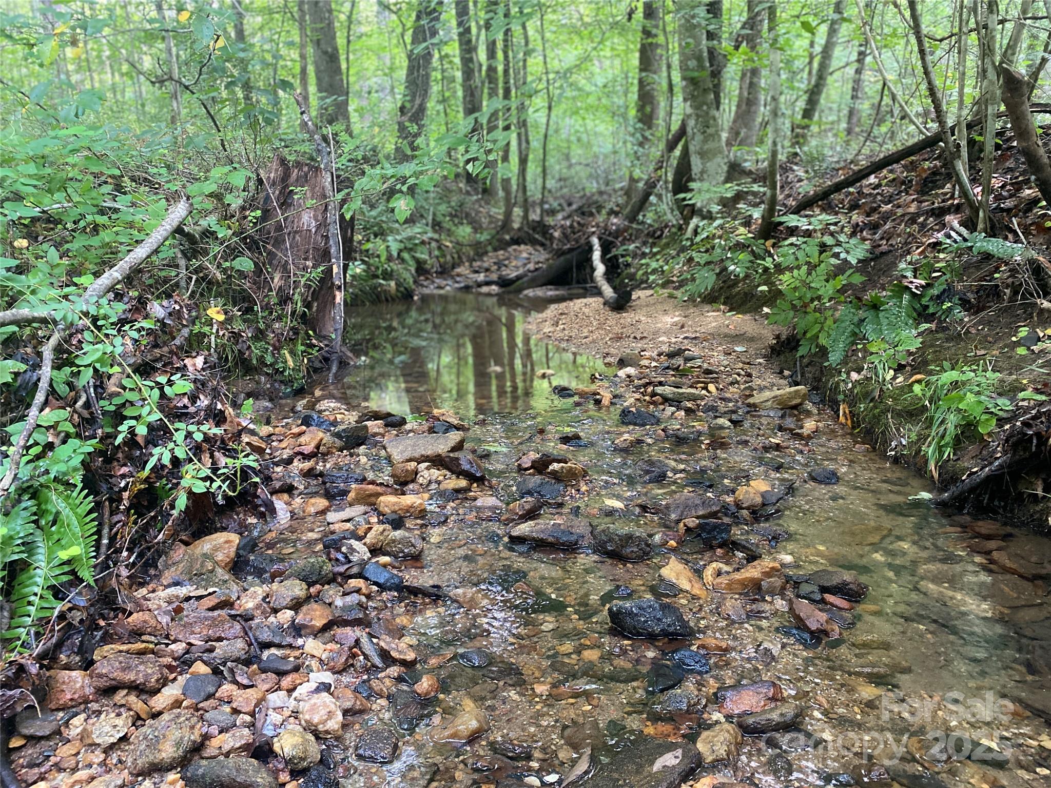 0 Camp McCall Road Bostic, NC 28018 - Photo 18 of 31 a view of a lake with a tree