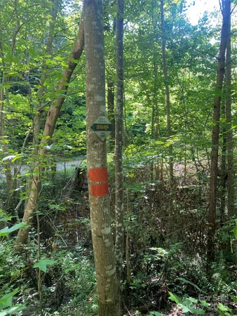 a backyard of a house with a yard and outdoor seating