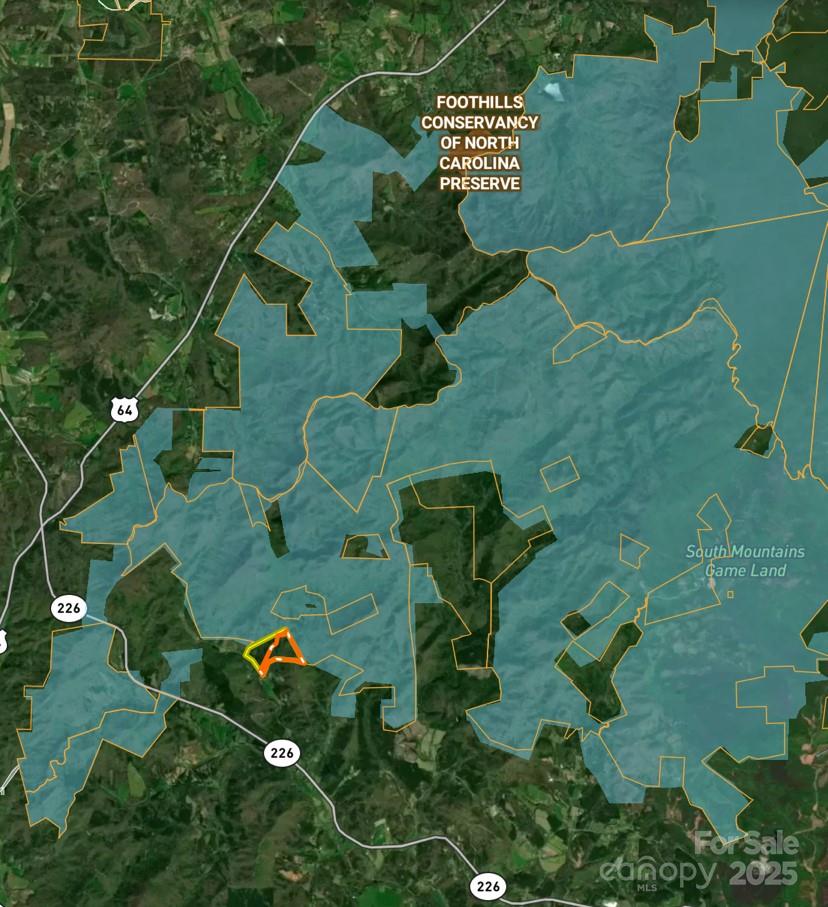 0 Camp McCall Road Bostic, NC 28018 - Photo 2 of 31 a garden view