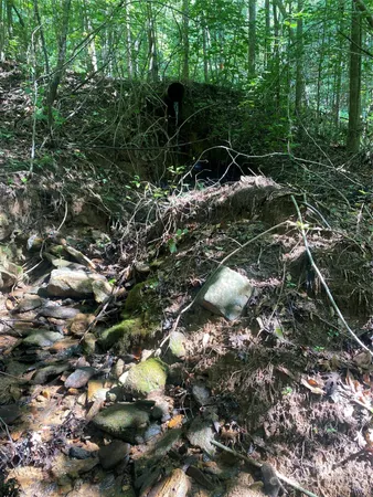 a backyard of a house