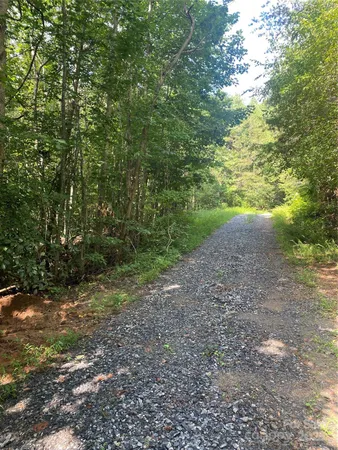 a view of a yard with potted plants and large trees