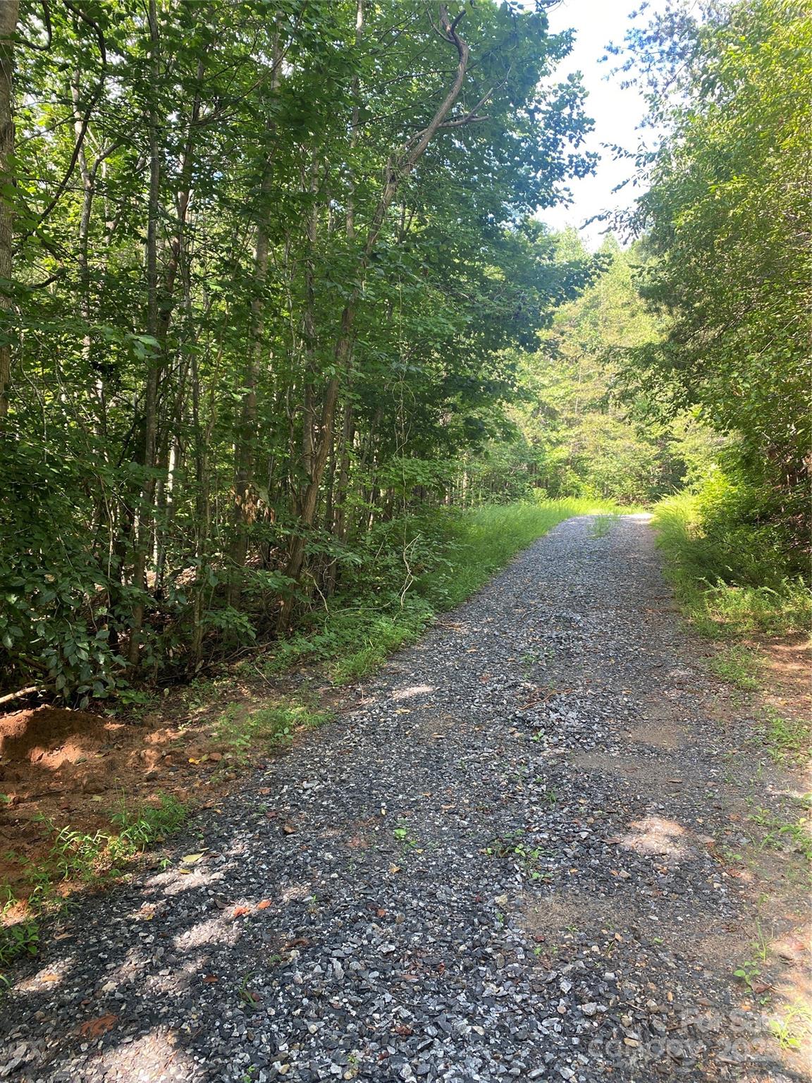 0 Camp McCall Road Bostic, NC 28018 - Photo 26 of 31 a view of a yard with a tree
