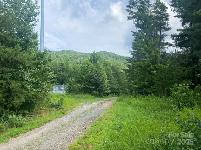 a view of yard with green space