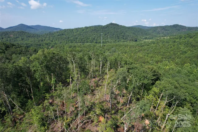 a view of a lush green hillside and a mountain view