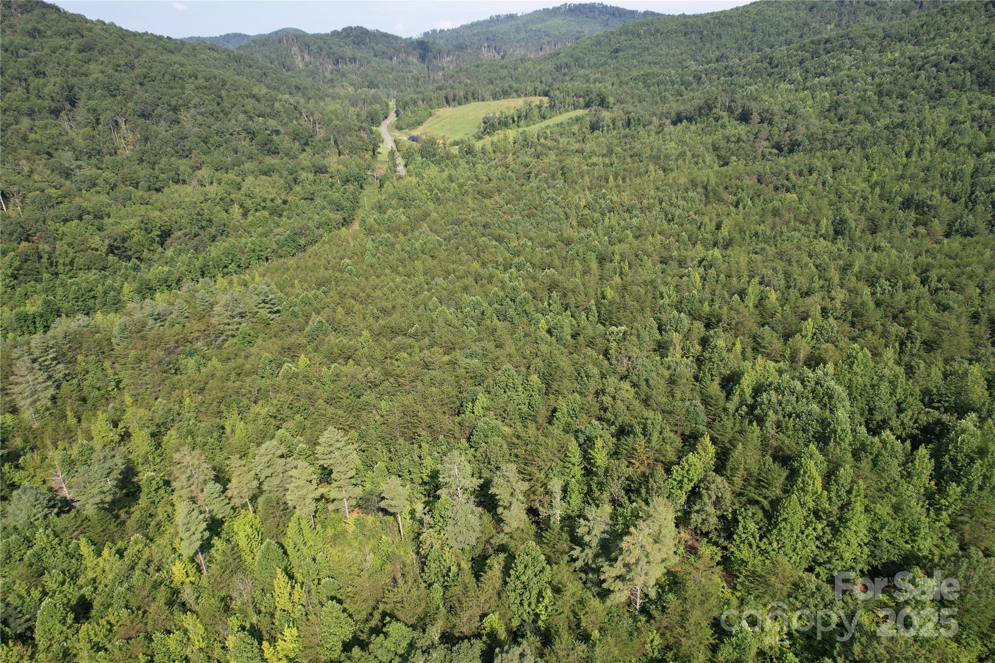 0 Camp McCall Road Bostic, NC 28018 - Photo 30 of 31 a view of a lush green hillside and a mountain view