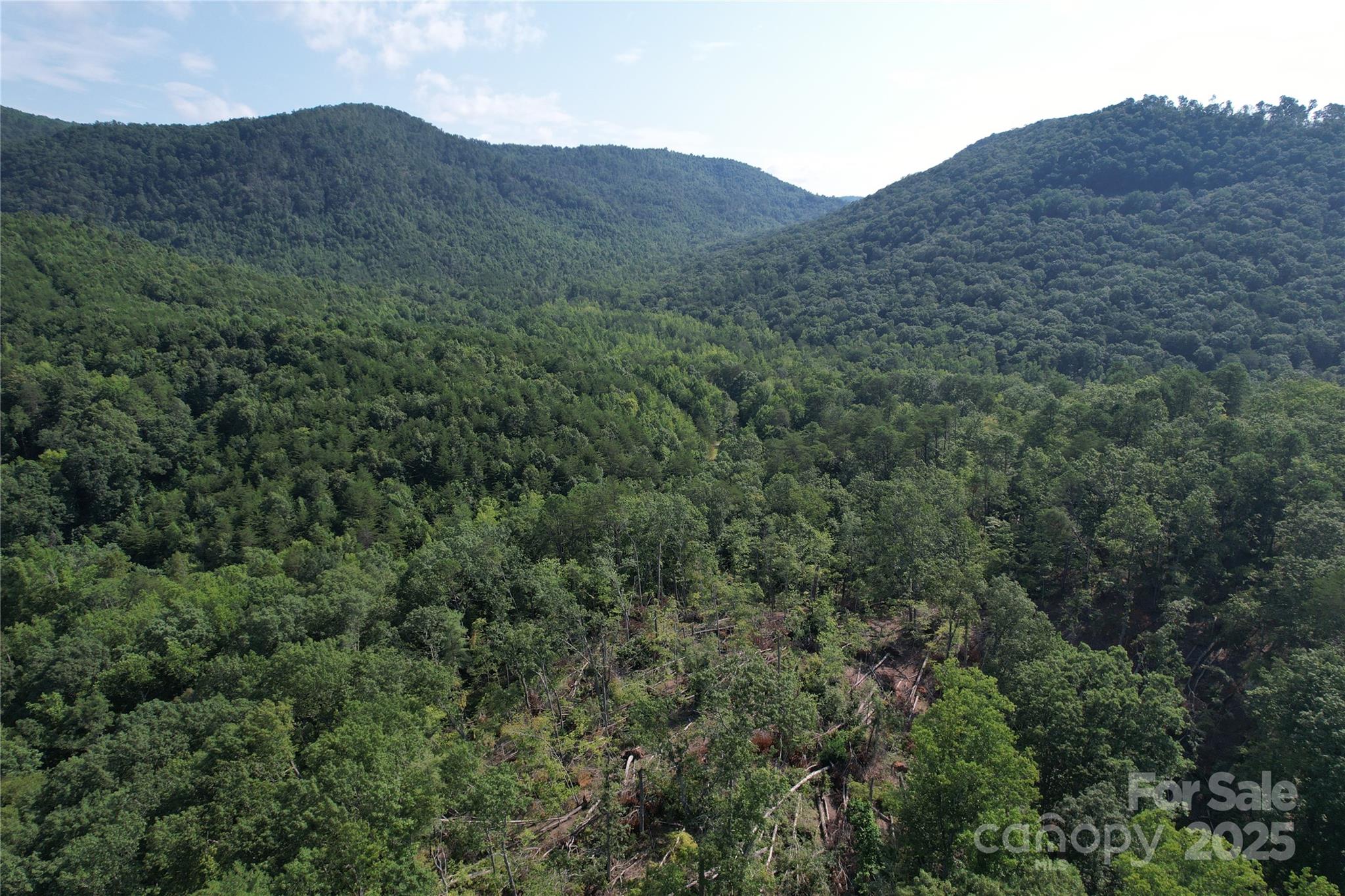 0 Camp McCall Road Bostic, NC 28018 - Photo 3 of 31