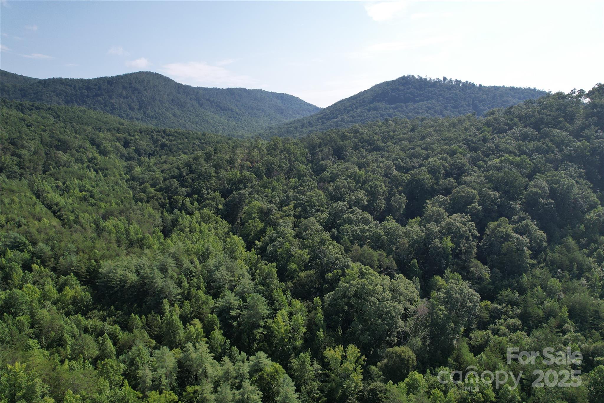 0 Camp McCall Road Bostic, NC 28018 - Photo 4 of 31 a view of a lush green hillside and a houses