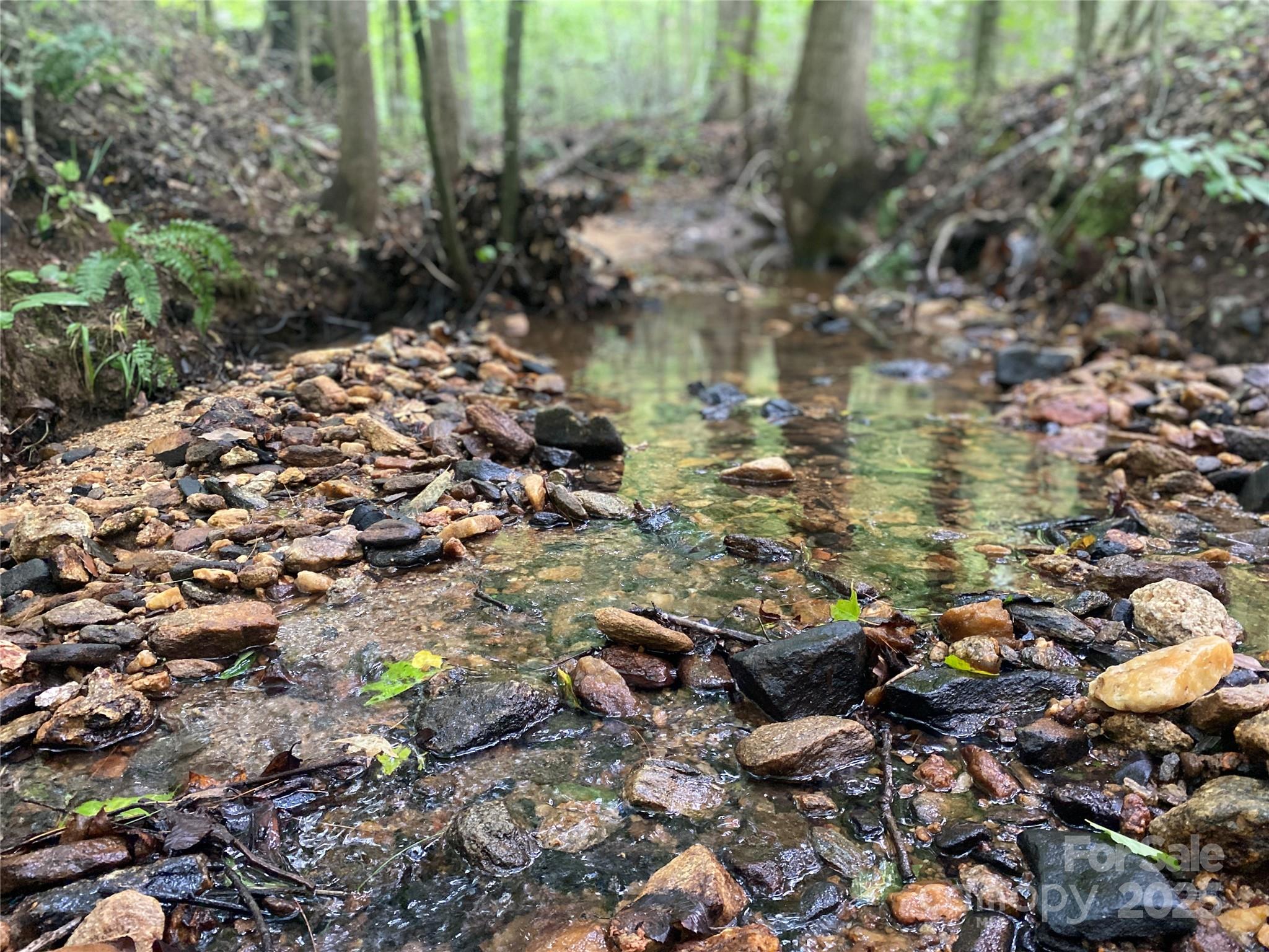 0 Camp McCall Road Bostic, NC 28018 - Photo 8 of 31 a picture of lake view
