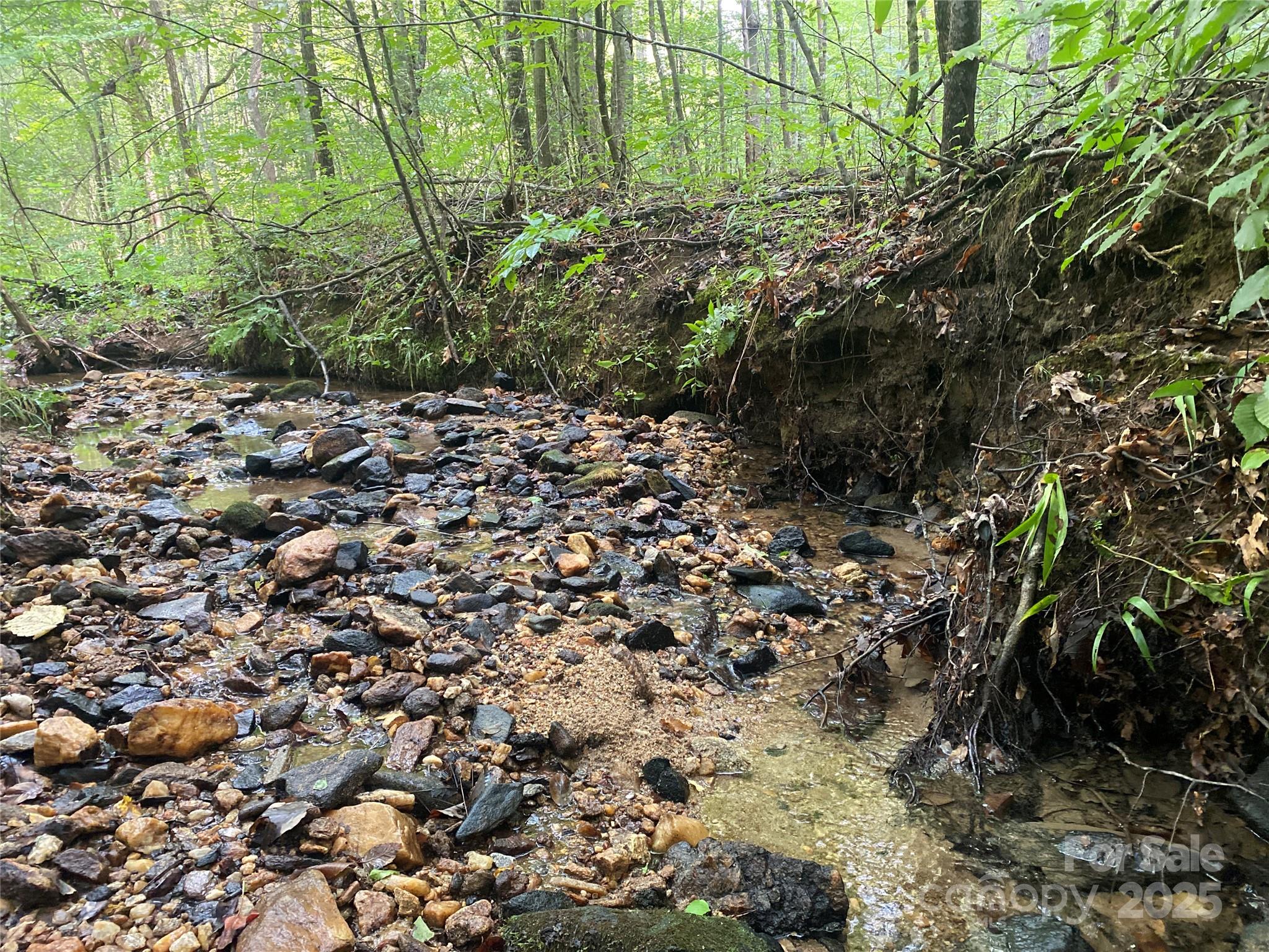 0 Camp McCall Road Bostic, NC 28018 - Photo 9 of 31 a view of a large yard with lots of green space