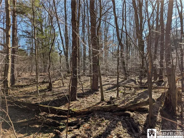 $49,900 | 1842-1 Highway 426, French Creek, NY 14724