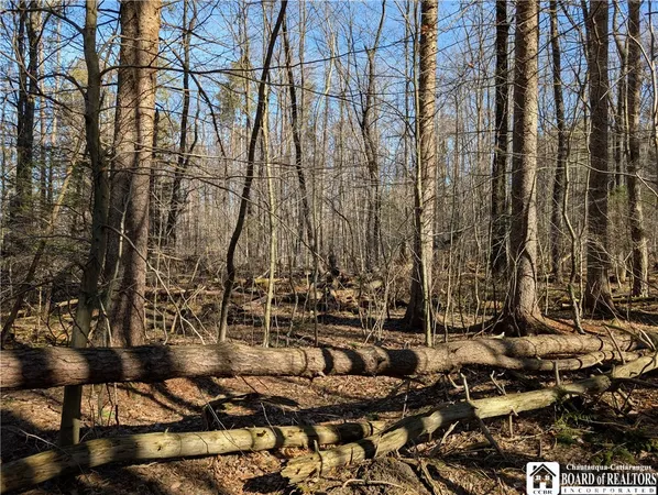 $49,900 | 1842-1 Highway 426, French Creek, NY 14724
