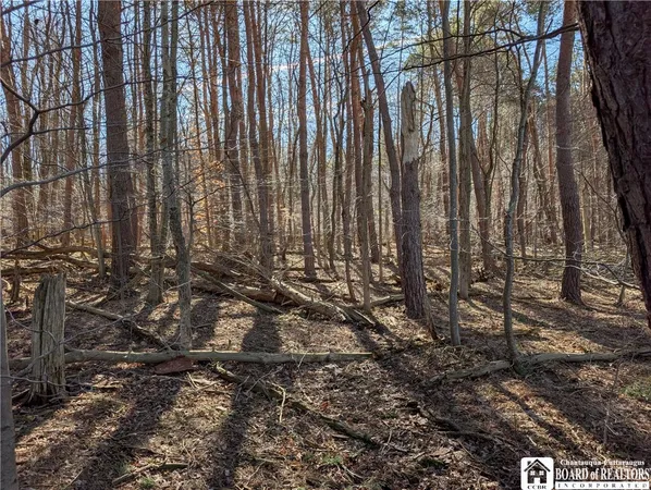 $49,900 | 1842-1 Highway 426, French Creek, NY 14724
