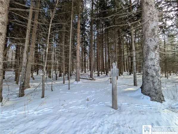 $49,900 | 1842-1 Highway 426, French Creek, NY 14724