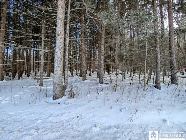 $49,900 | 1842-1 Highway 426, French Creek, NY 14724