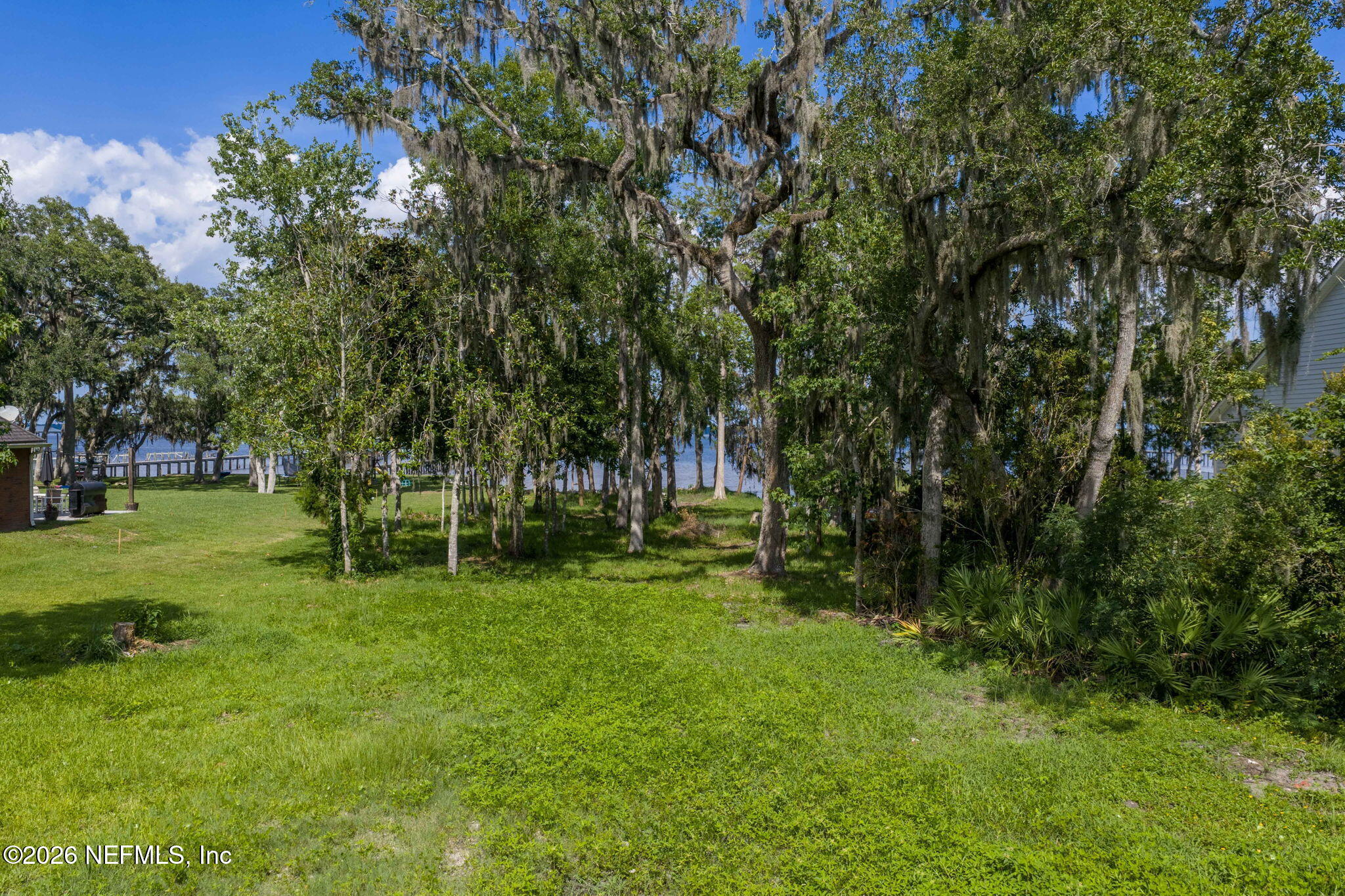 1570 River Rise Point Fleming Island, FL 32003 - Photo 18 of 26 Aerial View of Property