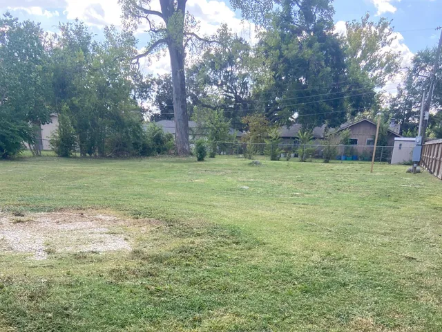 a view of a field with a tree